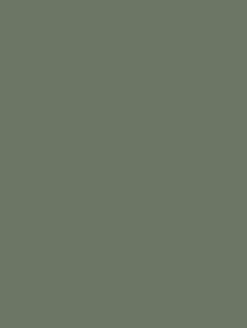  M (16) dark oliver green plain