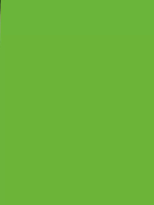  M (11) forestgreen plain