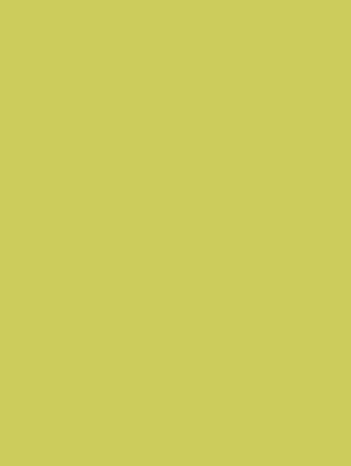  D-(1034)yellow green plain