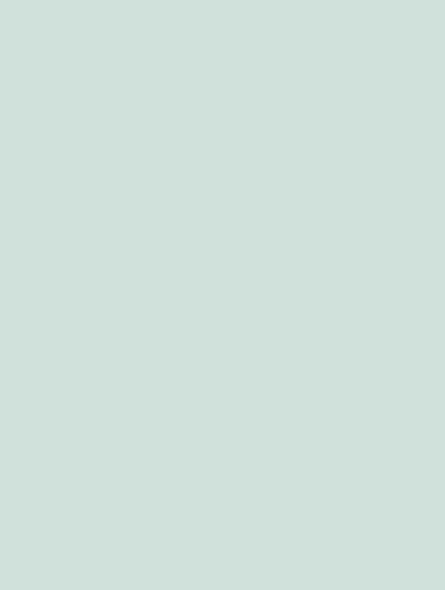  D-(1033)light blue plain