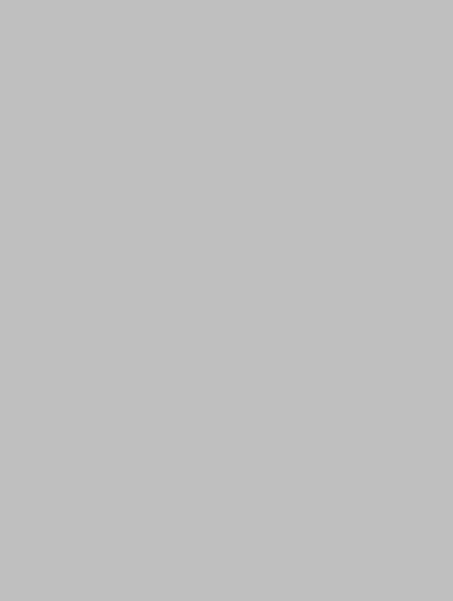  D-(1017)light grey plain