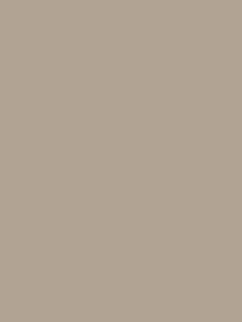  D-(113)light brown plain