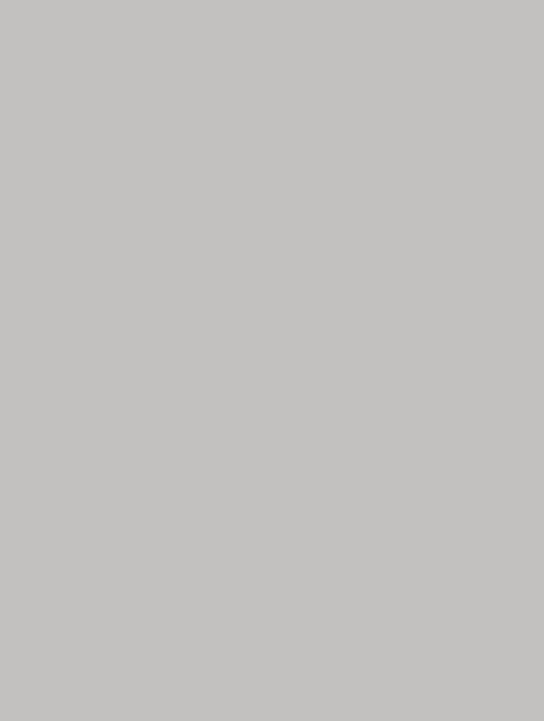  D-(112)light grey plain