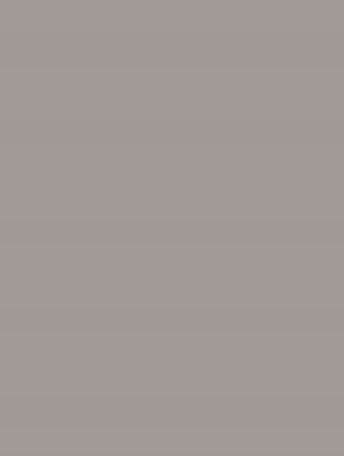 D-(109) grey plain