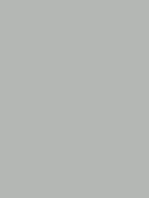  D-(107) grey plain