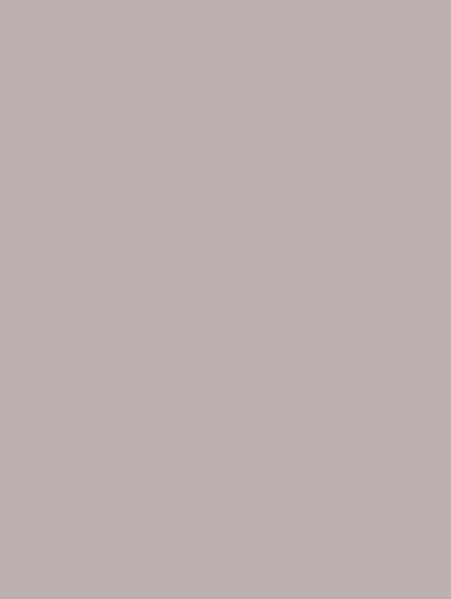  D-(103) beige grey plain