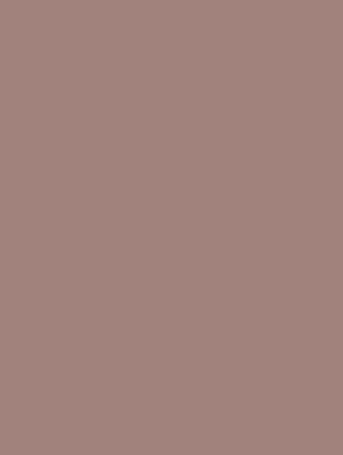  B1 (141) rosybrown plain
