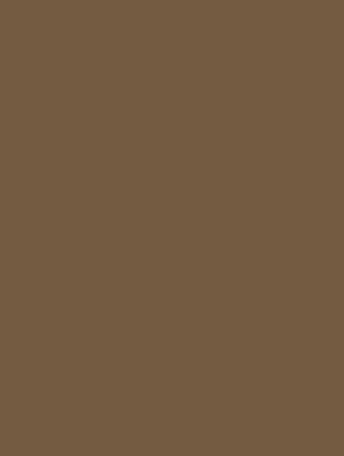  B1 (140) dimbrown plain