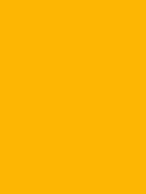  B1 (135) amber orange plain