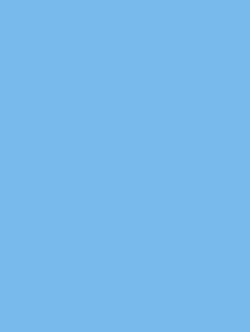  B1 (133)light skyblue plain