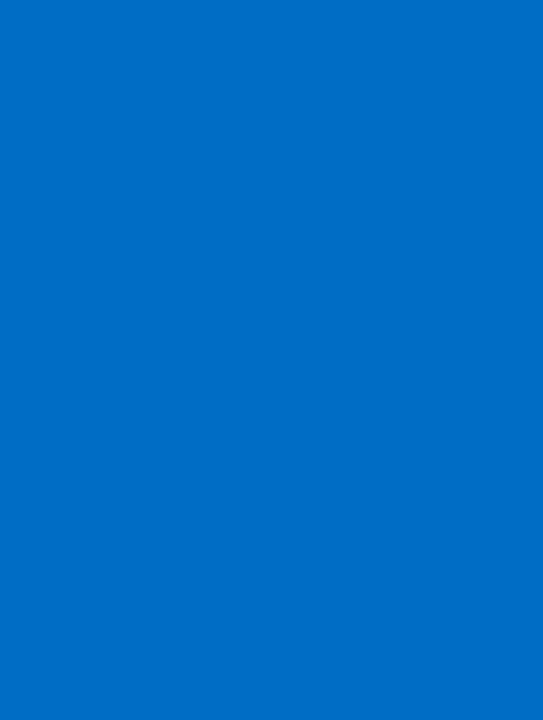  B1 (132)dodger blue plain
