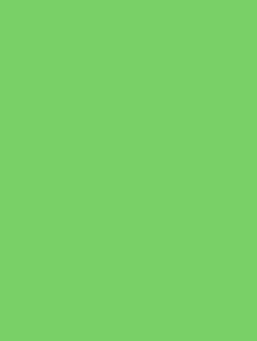  B（136）palegreen plain