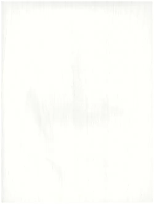  A1 (152)white abtraction