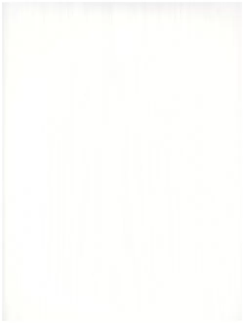  A1 (167)white abstraction