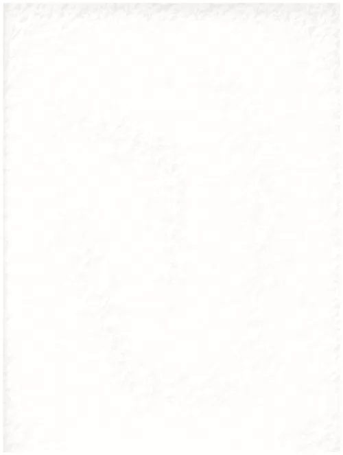  A1 (176)smoke white abstraction