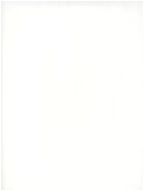  A1 (177)white abstraction