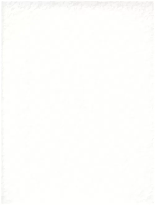  A1 (179)snow white abstraction