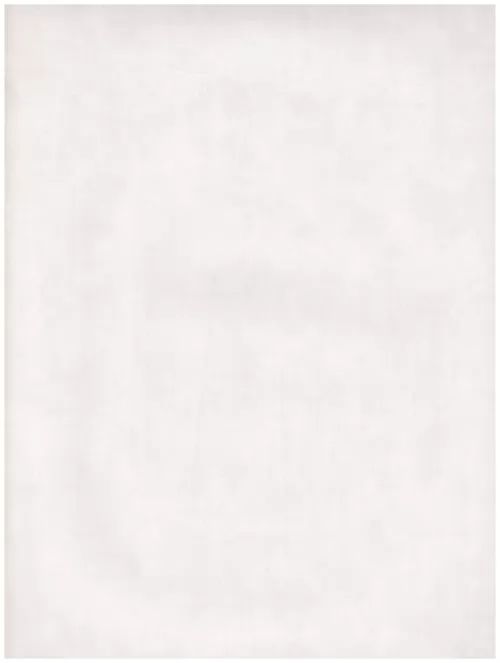 A1 (232)lvory white abstraction