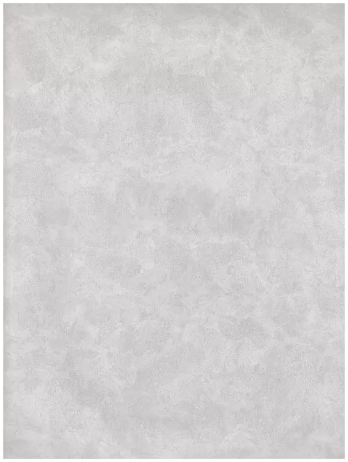  A1 (234)light grey abstraction