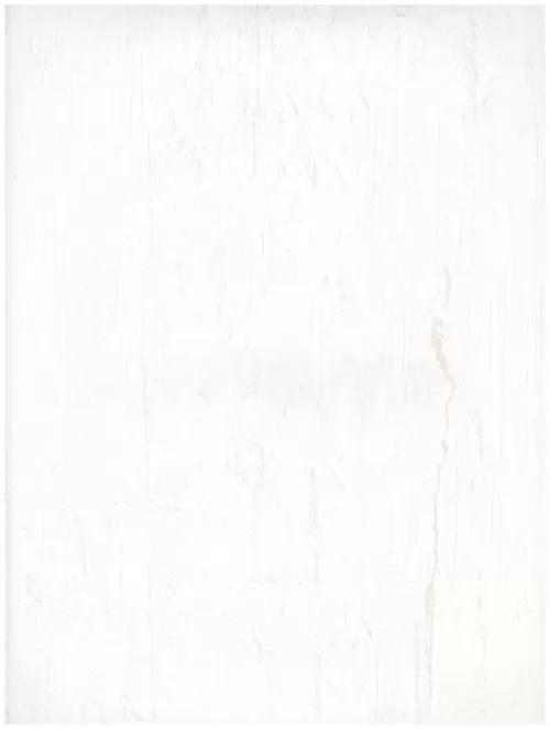  A1 (284)white stone grain