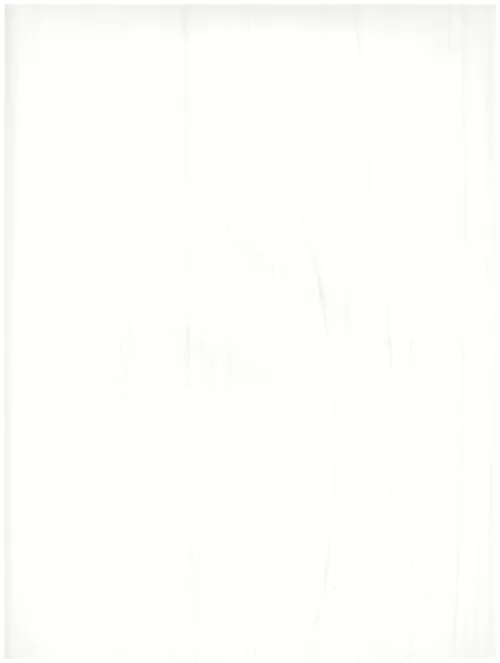  A1 (290)white abstraction