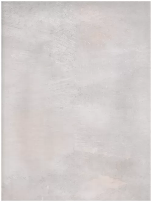  B1 (22)light grey abstraction