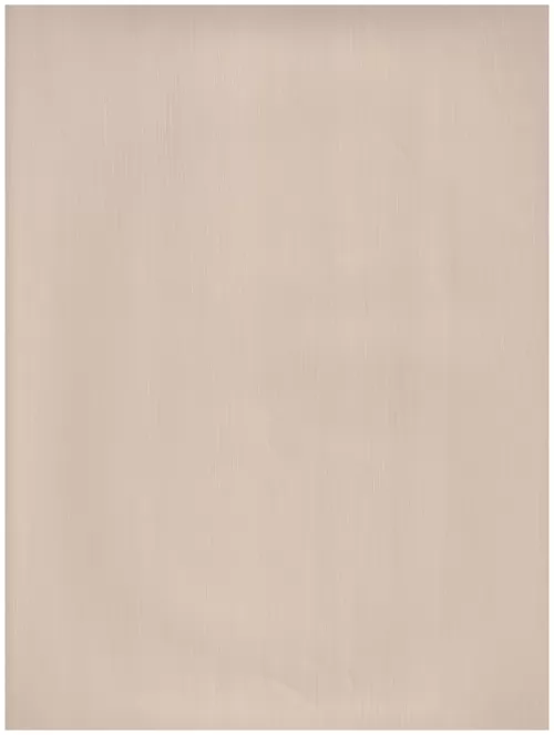  C1 (31)light tan abstraction