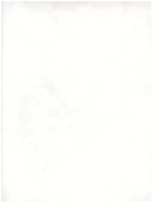  C1 (134)white abstraction