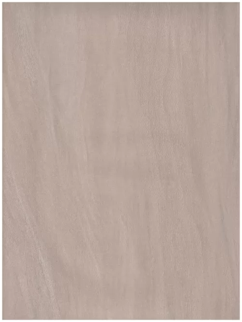  C1 (220)tan abstraction