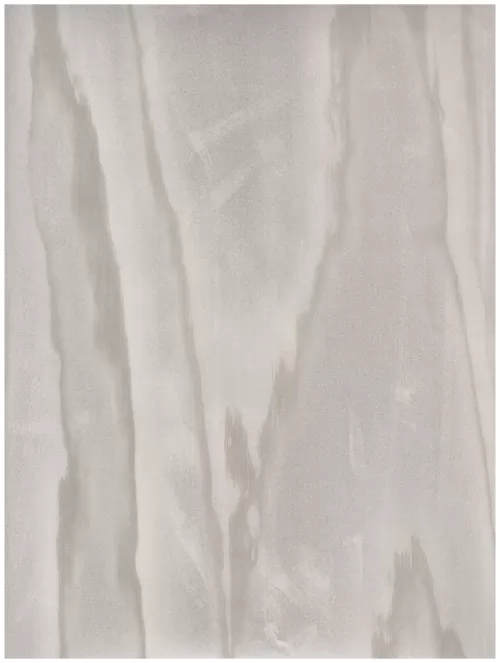  C1 (249)light grey smudged abstraction