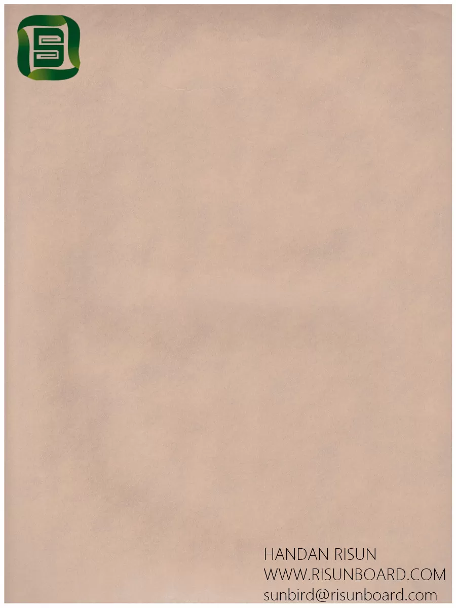  A1 (95)tan abstraction