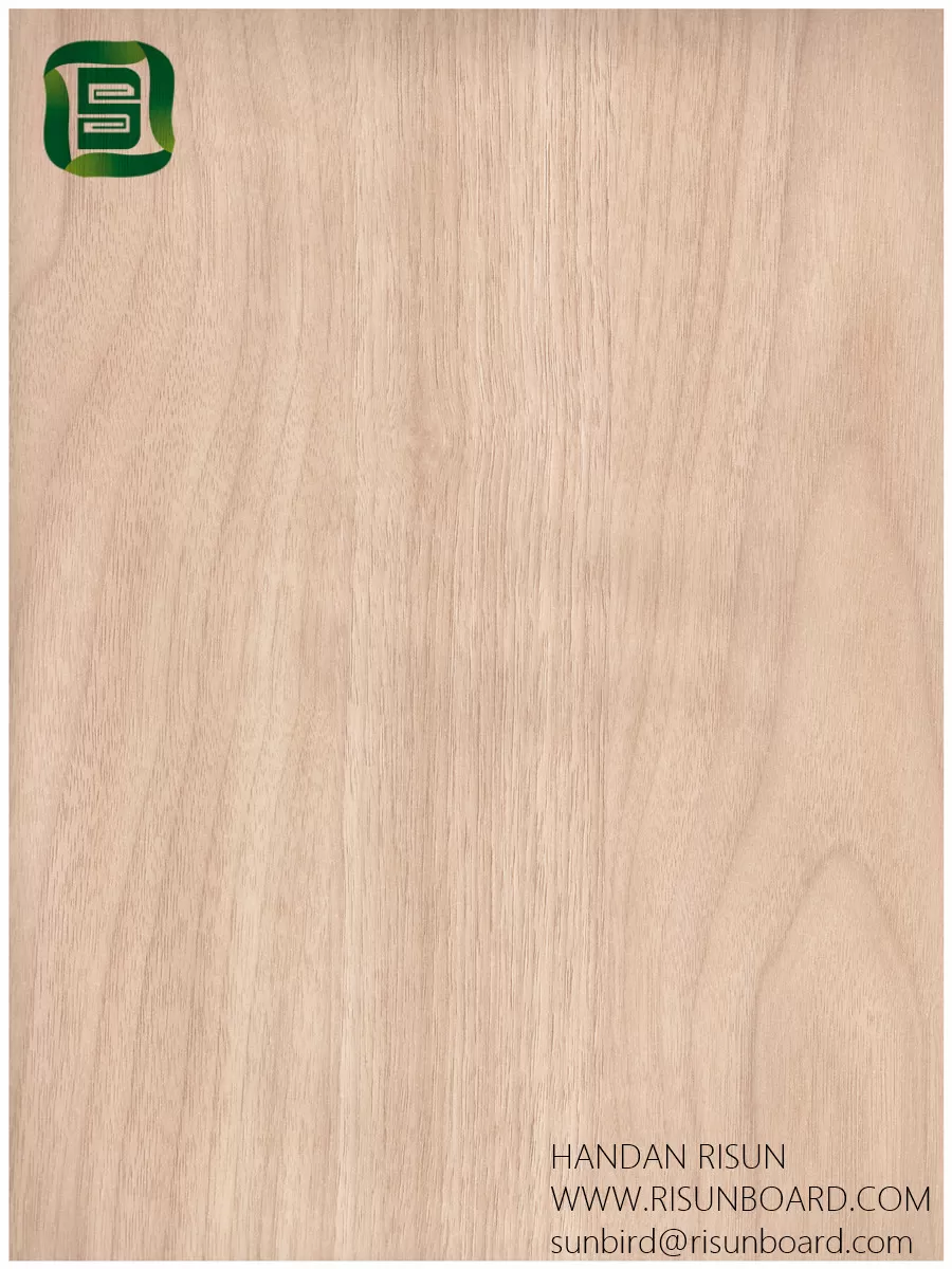  B1 (19)tan wood grain