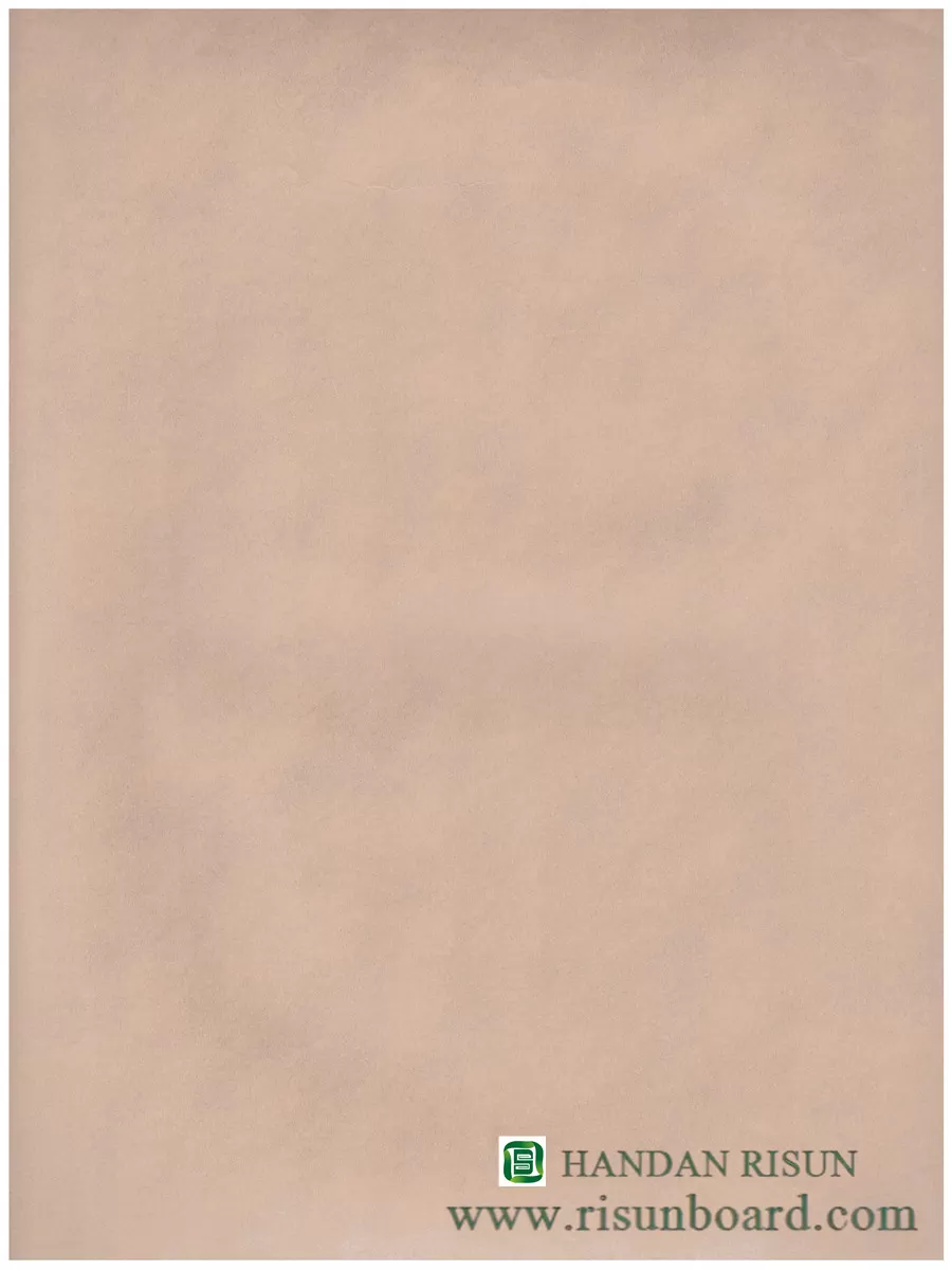  A1 (95)tan abstraction