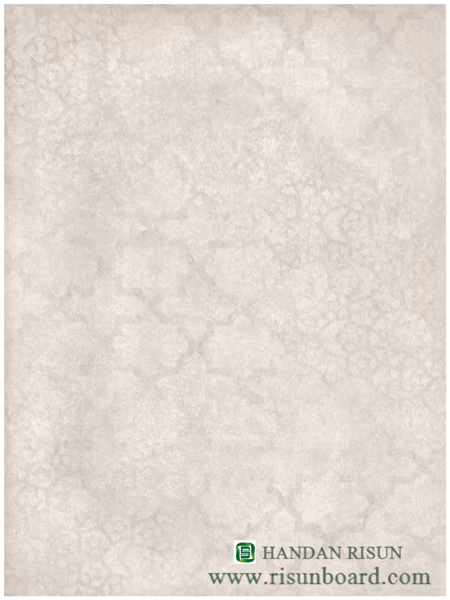  B1 (98)beige printed stone grain