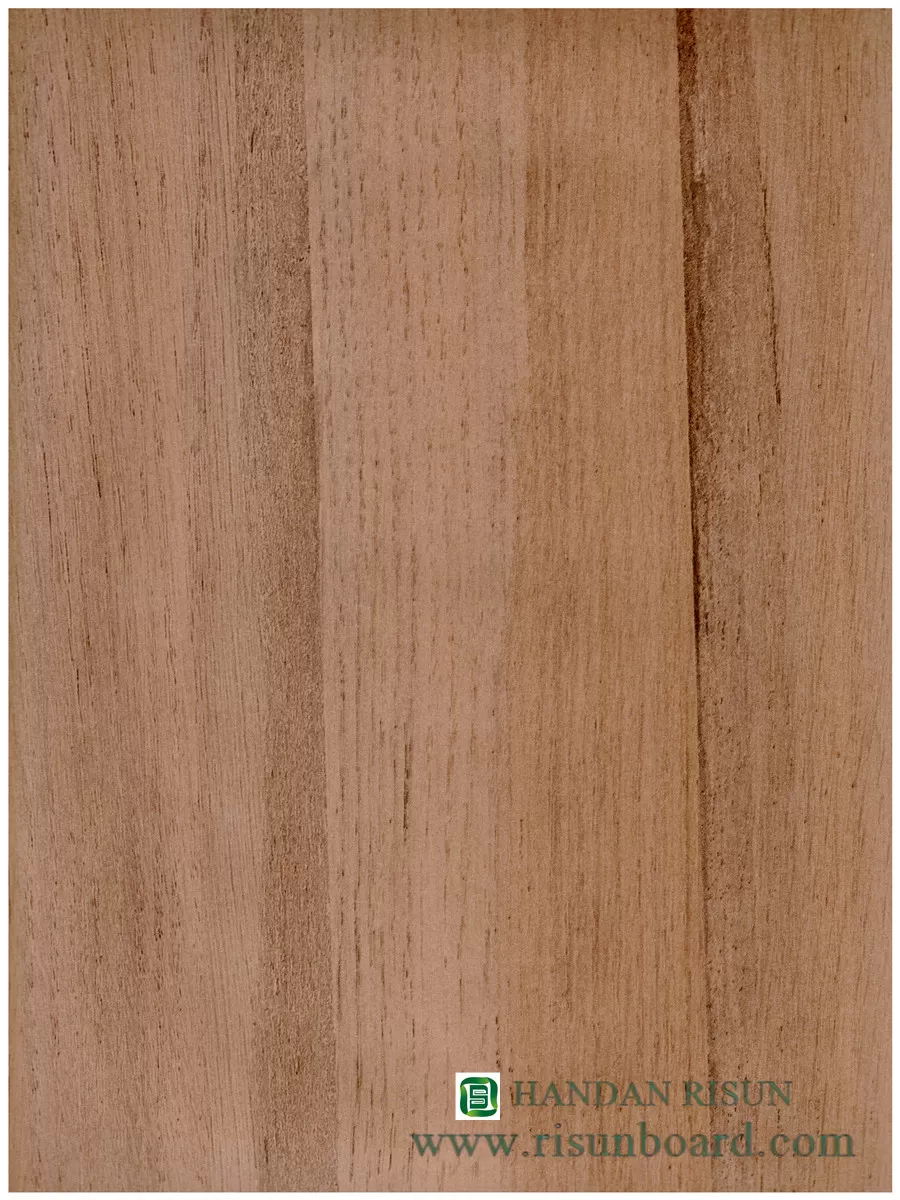  B1 (54)light brown wood grain
