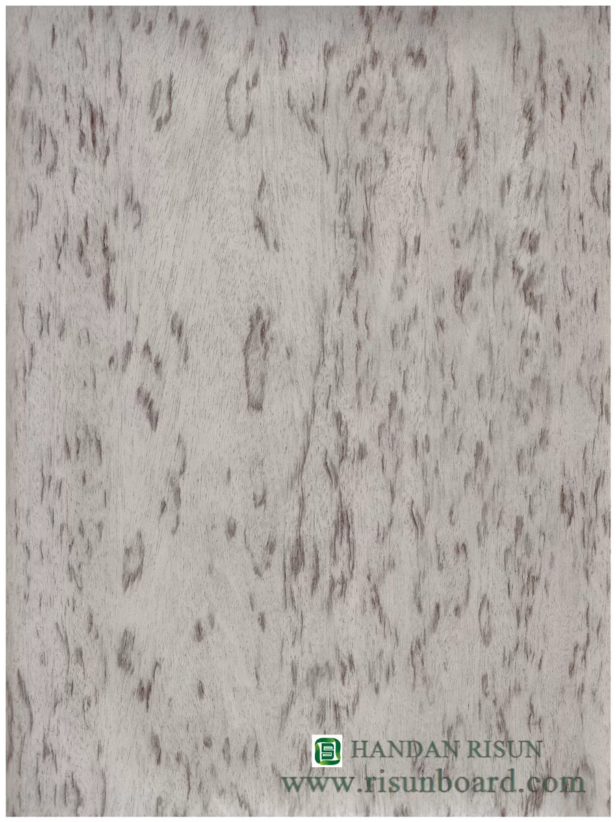  B1 (30) grey abstraction