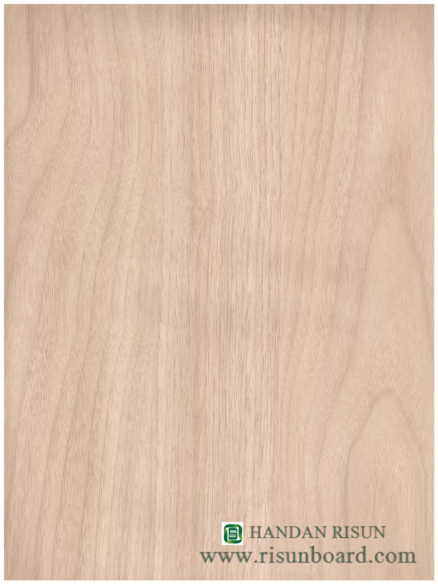  B1 (19)tan wood grain